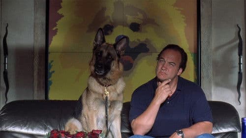 Mein Partner mit der kalten Schnauze 3 Bild 8