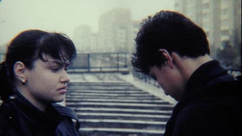 Где твой дом, улитка? Bild 2