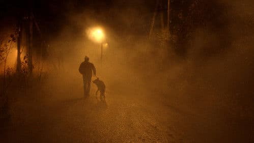 Отпуск в октябре Bild 6