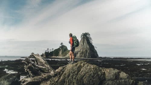 THRU: The Pacific Northwest Bild 1