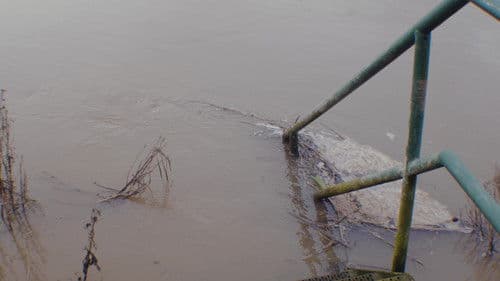 Alternate Spaces Bild 2