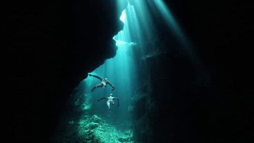 Time for Sushi Bild 1