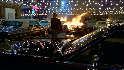 Der Einzelgänger Bild 8