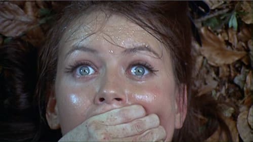 Tod im Teufelsgrund Bild 1