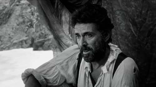 Sobreviventes Bild 1