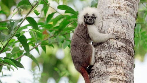 The Power of One Bild 6