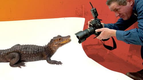 Best Job Ever Bild 1