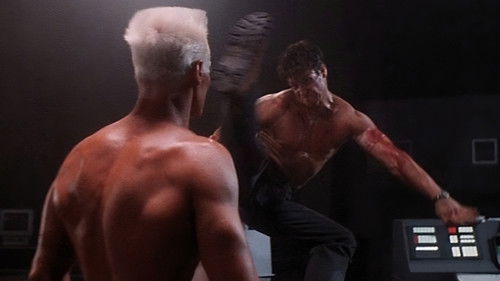 Shadowchaser 2 Bild 4