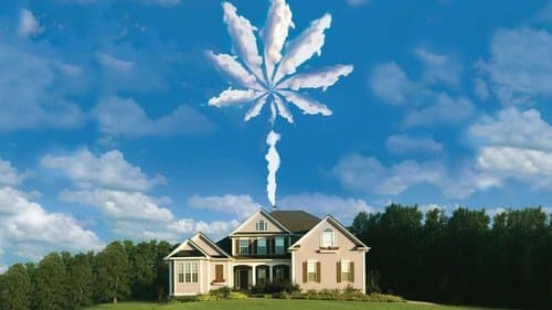 Operation Marijuana Bild 1