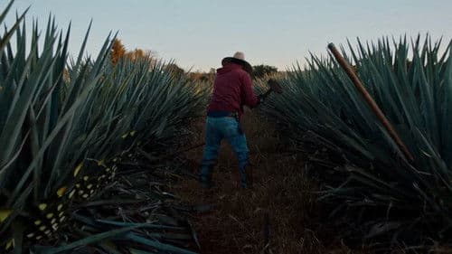 Dos Estaciones Bild 1