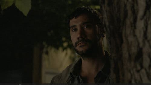 Gün Batımına Birkaç Gün Kala Bild 1