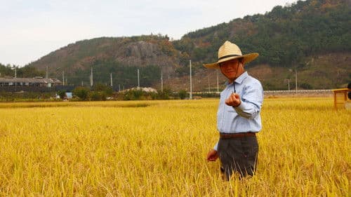 물의 기억 Bild 4