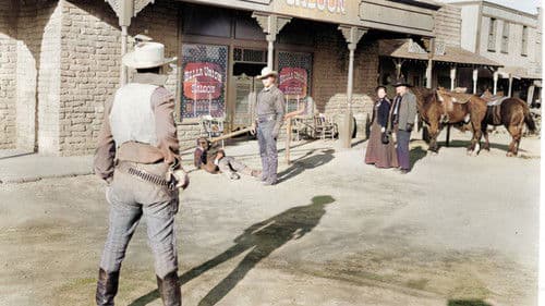 Nacht in der Prärie Bild 4