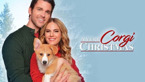 A Very Corgi Christmas - Liebe auf vier Pfoten Bild 5