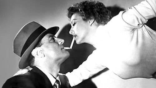 Taxi 539 antwortet nicht Bild 1