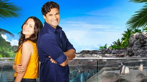 Love and Penguins Bild 4