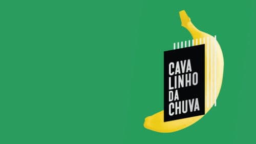 Cavalinho da Chuva Bild 2