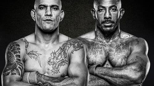 UFC 307: Pereira vs. Rountree Jr. Bild 4