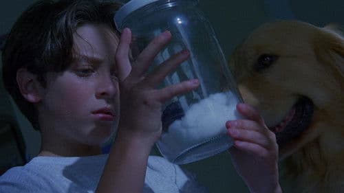 Die Krieger des Tao-Universums Bild 3