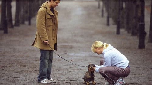 Hundtricket - The Movie Bild 1