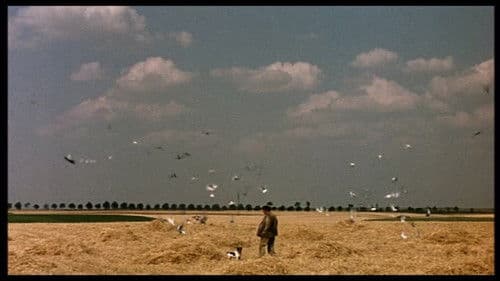 Alexander der Lebenskünstler Bild 4