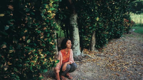 海辺の生と死 Bild 6