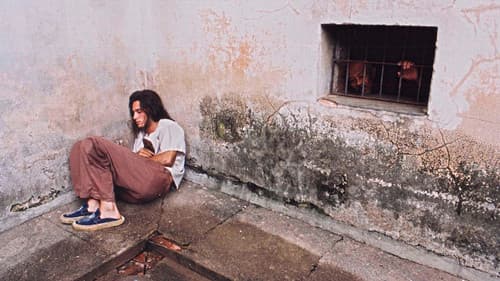 Bicho de Sete Cabeças Bild 4