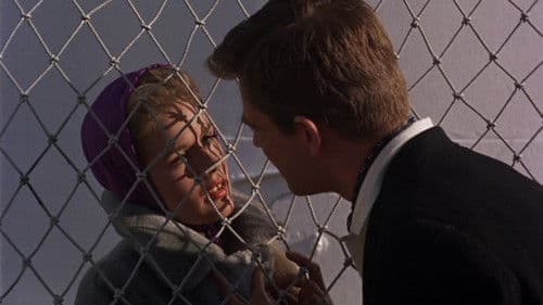 Nur eine einzige Nacht Bild 1