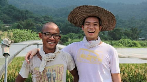 稻米是如何鍊成的 Bild 1