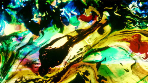 The Dante Quartet Bild 3