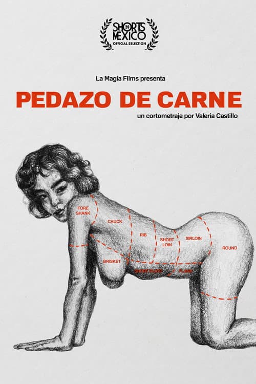 Pedazo de carne