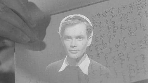 Einen Sommer lang Bild 4