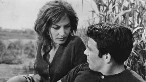 Der Bucklige von Rom Bild 6