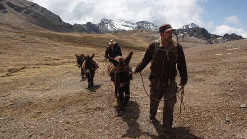 Treasure Quest: Snake Island Bild 3