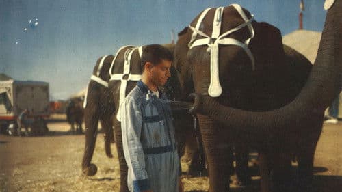 Im Zirkus der drei Manegen Bild 8