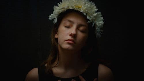 No Need for a Canvas Bild 1