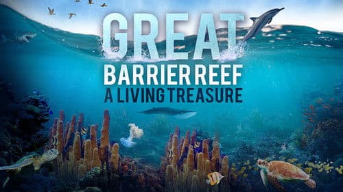 Das Great Barrier Reef - Schatzkiste der Natur Bild 1
