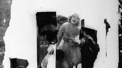 The Social Buccaneer Bild 1