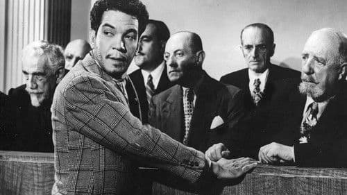 Si yo fuera diputado Bild 1