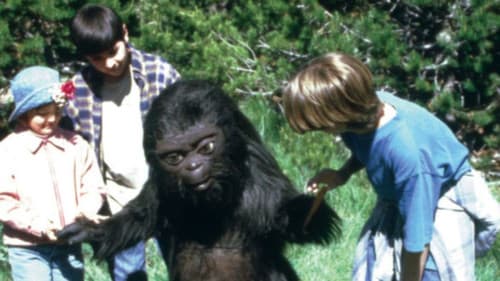 Little Bigfoot 2 Bild 3