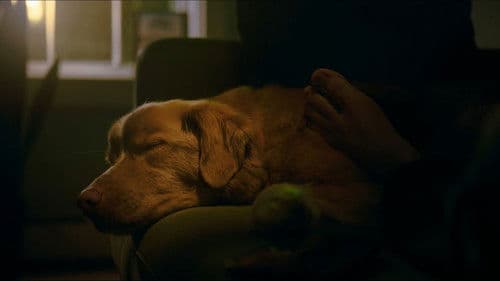 Good Boy - Trust His Instincts Bild 6