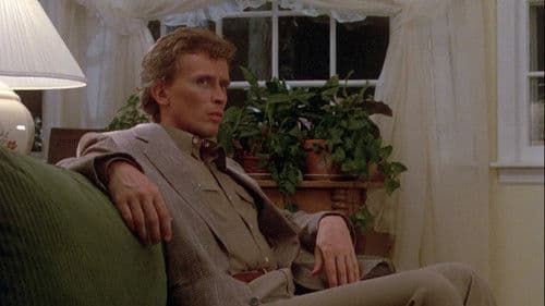 Moving in - Eine fast intakte Familie Bild 5