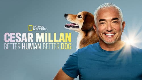 Cesar Millan: Guter Mensch guter Hund Bild 8