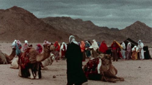 The Burning Hell Bild 3