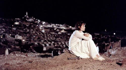 Jenseits aller Grenzen Bild 4