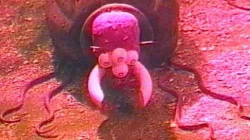 Night Crawlers Bild 1