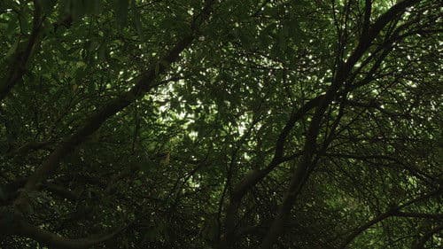 Le Plus Terrible Pouvoir Qui Soit Bild 2