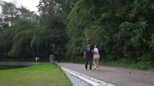 Desencontros de Amor Bild 8