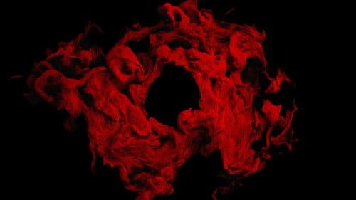 All We Wanted Bild 3