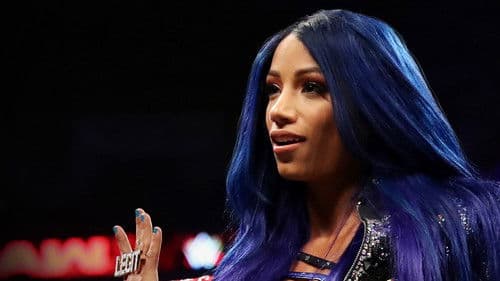 WWE Chronicle Bild 1